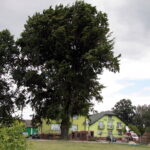 03.07.2017 Śniadka. Gospodarstwo agroturystyczne "Pod Bukiem". / Krzysztof Bujnowicz / Radio Kielce