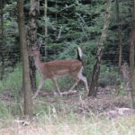 Gospodarstwo Agroturystyczne "Wieża na Górce" (05.07.2017) / Krzysztof Bujnowicz / Radio Kielce
