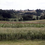 03.07.2017 Śniadka. Gospodarstwo agroturystyczne "Pod Bukiem". Widok na Góry Świętokrzyskie. / Krzysztof Bujnowicz / Radio Kielce