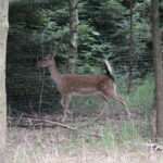 Gospodarstwo Agroturystyczne "Wieża na Górce" (05.07.2017) / Krzysztof Bujnowicz / Radio Kielce