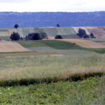 03.07.2017 Śniadka. Gospodarstwo agroturystyczne "Pod Bukiem". Widok na Góry Świętokrzyskie. / Krzysztof Bujnowicz / Radio Kielce