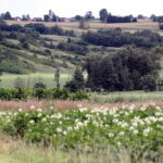 03.07.2017 Śniadka. Gospodarstwo agroturystyczne "Pod Bukiem". Widok na Góry Świętokrzyskie. / Krzysztof Bujnowicz / Radio Kielce