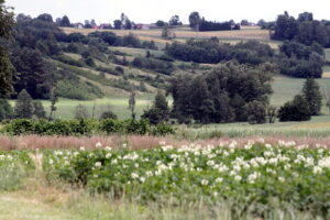 03.07.2017 Śniadka. Gospodarstwo agroturystyczne "Pod Bukiem". Widok na Góry Świętokrzyskie. / Krzysztof Bujnowicz / Radio Kielce