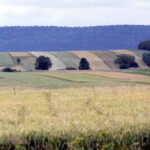 03.07.2017 Śniadka. Gospodarstwo agroturystyczne "Pod Bukiem". Widok na Góry Świętokrzyskie. / Krzysztof Bujnowicz / Radio Kielce