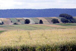 03.07.2017 Śniadka. Gospodarstwo agroturystyczne "Pod Bukiem". Widok na Góry Świętokrzyskie. / Krzysztof Bujnowicz / Radio Kielce