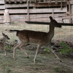 Gospodarstwo Agroturystyczne "Wieża na Górce" (05.07.2017) / Krzysztof Bujnowicz / Radio Kielce