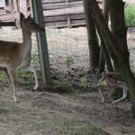 Gospodarstwo Agroturystyczne "Wieża na Górce" (05.07.2017) / Krzysztof Bujnowicz / Radio Kielce
