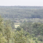 Gospodarstwo Agroturystyczne "Wieża na Górce" (05.07.2017) / Krzysztof Bujnowicz / Radio Kielce