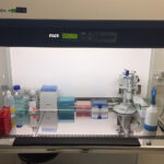 Kielce. Szpital Kielecki rozpoczął pozyskiwanie komórek macierzystych z mleka kobiecego (25.07.2017) / Iwona Murawska / Radio Kielce