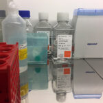 Kielce. Szpital Kielecki rozpoczął pozyskiwanie komórek macierzystych z mleka kobiecego (25.07.2017) / Iwona Murawska / Radio Kielce