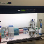 Kielce. Szpital Kielecki rozpoczął pozyskiwanie komórek macierzystych z mleka kobiecego (25.07.2017) / Iwona Murawska / Radio Kielce