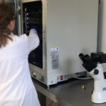 Kielce. Szpital Kielecki rozpoczął pozyskiwanie komórek macierzystych z mleka kobiecego (25.07.2017) / Iwona Murawska / Radio Kielce