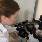 Kielce. Szpital Kielecki rozpoczął pozyskiwanie komórek macierzystych z mleka kobiecego (25.07.2017) / Iwona Murawska / Radio Kielce