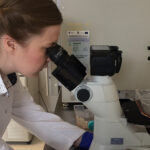 Kielce. Szpital Kielecki rozpoczął pozyskiwanie komórek macierzystych z mleka kobiecego (25.07.2017) / Iwona Murawska / Radio Kielce