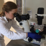 Kielce. Szpital Kielecki rozpoczął pozyskiwanie komórek macierzystych z mleka kobiecego (25.07.2017) / Iwona Murawska / Radio Kielce