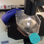 Kielce. Szpital Kielecki rozpoczął pozyskiwanie komórek macierzystych z mleka kobiecego (25.07.2017) / Iwona Murawska / Radio Kielce