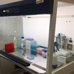 Kielce. Szpital Kielecki rozpoczął pozyskiwanie komórek macierzystych z mleka kobiecego (25.07.2017) / Iwona Murawska / Radio Kielce