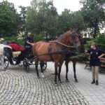 25.07.2017 Pińczów. Stacja: Wakacje / Piotr Michalski / Radio Kielce