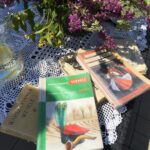 Samsonów. "Stacja: Wakacje" / Marek Wtorek / Radio Kielce