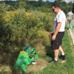 W Sandomierzu sprzątali brzegi Wisły / Grażyna Szlęzak-Wójcik - Radio Kielce / W Sandomierzu sprzątali brzegi Wisły