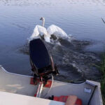 Paweł Sieczka / KP PSP Skarżysko-Kamienna