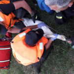 Gmina Łączna, zalew Jaśle. Strażacy ze Skarżyska udzielili pomocy łabędziowi, który zaplątał się w żyłkę wędkarską / Paweł Sieczka / KP PSP Skarżysko-Kamienna