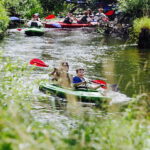 08.07.2017 Kuby Młyny. Spływ kajakowy. / Jarosław Kubalski / Radio Kielce