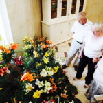 08.07.2017 Kielce. Wystawa lilii w KCK / Jarosław Kubalski / Radio Kielce