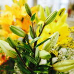 08.07.2017 Kielce. Wystawa lilii w KCK / Jarosław Kubalski / Radio Kielce