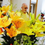 08.07.2017 Kielce. Wystawa lilii w KCK / Jarosław Kubalski / Radio Kielce