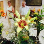 08.07.2017 Kielce. Wystawa lilii w KCK / Jarosław Kubalski / Radio Kielce