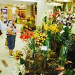 08.07.2017 Kielce. Wystawa lilii w KCK / Jarosław Kubalski / Radio Kielce