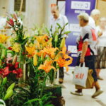 08.07.2017 Kielce. Wystawa lilii w KCK / Jarosław Kubalski / Radio Kielce