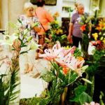 08.07.2017 Kielce. Wystawa lilii w KCK / Jarosław Kubalski / Radio Kielce