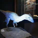 13.07.2017 Miedzianka. Wystawa "Tropami  świętokrzyskich dinozaurów". / Jarosław Kubalski / Radio Kielce