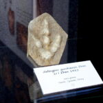 13.07.2017 Miedzianka. Wystawa "Tropami  świętokrzyskich dinozaurów". / Jarosław Kubalski / Radio Kielce