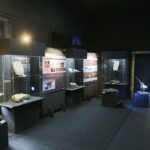 13.07.2017 Miedzianka. Wystawa "Tropami  świętokrzyskich dinozaurów". / Jarosław Kubalski / Radio Kielce