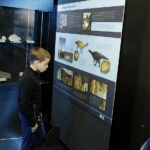 13.07.2017 Miedzianka. Wystawa "Tropami  świętokrzyskich dinozaurów". / Jarosław Kubalski / Radio Kielce