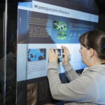 13.07.2017 Miedzianka. Wystawa "Tropami  świętokrzyskich dinozaurów". / Jarosław Kubalski / Radio Kielce