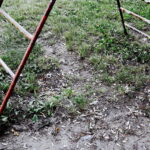 20.07.2017 Kielce. Zaniedbany plac zabaw przy ulicy Lecha. / Jarosław Kubalski / Radio Kielce