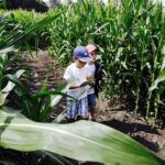 23.07.2017 Kurozwęki. Otwarcie labiryntu / Jarosław Kubalski / Radio Kielce