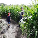 23.07.2017 Kurozwęki. Otwarcie labiryntu / Jarosław Kubalski / Radio Kielce