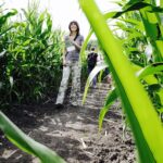 23.07.2017 Kurozwęki. Otwarcie labiryntu / Jarosław Kubalski / Radio Kielce