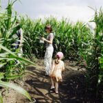 23.07.2017 Kurozwęki. Otwarcie labiryntu / Jarosław Kubalski / Radio Kielce