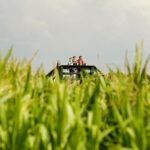 23.07.2017 Kurozwęki. Otwarcie labiryntu. / Jarosław Kubalski / Radio Kielce