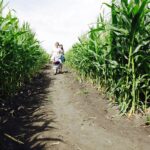 23.07.2017 Kurozwęki. Otwarcie labiryntu / Jarosław Kubalski / Radio Kielce