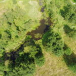 31.07.2017 Umianowice. Rozlewiska  Nidy. / Jarosław Kubalski - Radio Kielce / Umianowice. Rozlewiska Nidy