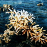 Malediwy / Jarosław Sułek