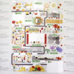 27.07.2017 Kielce. Spacer z ilustrowanym przewodnikiem - "Niemapą". / Jarosław Kubalski / Radio Kielce