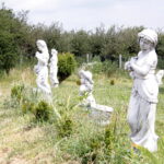 04.07.2017 Lubania. Gospodarstwo agroturystyczne "Różane Wzgórze". / Krzysztof Bujnowicz / Radio Kielce